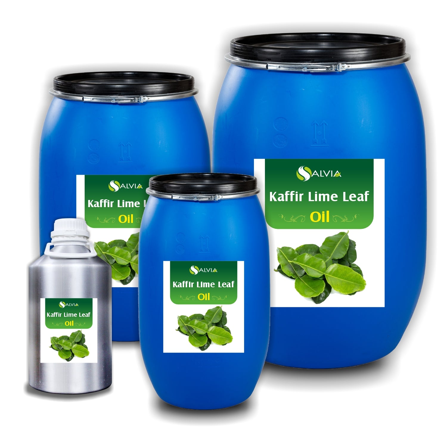Salvia Natural Essential Oils,Hair Fall 10kg Kaffir Lime Leaf Oil (Citrus Hystrix) Natural Essential Oil Salvia Natural Essential Oils,Hair Fall 10kg Kaffir Lime Leaf Oil (Citrus Hystrix) Natural Essential Oil